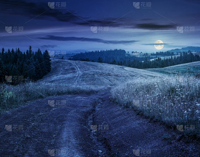 山,夜晚,森林,居住区,起源,美,草原,地名,水平画幅,郊区素材-花瓣网