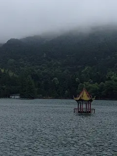 小熊爱旅游