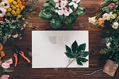 无人,桌子,绿色,纸,花卉商,顶部,视角,叶子,美,贺卡