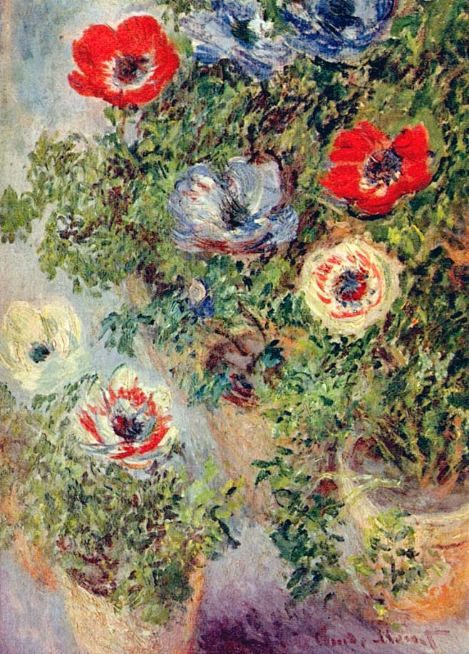 银莲花