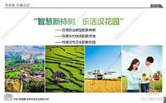 1QMV8NH3采集到方案封面、内页