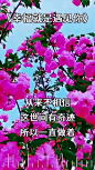 全量素材 - 投放管理平台