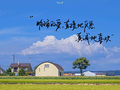 红玫瑰花采集到背景文字