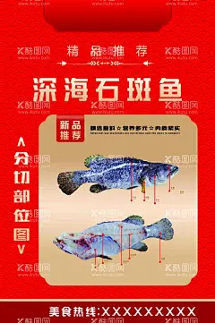 深海石斑鱼  - 源文件下载【酷图网】深海,石斑鱼,精品推荐,分切部位图,鱼海报,