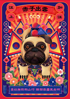 vBzBGT2t采集到动物