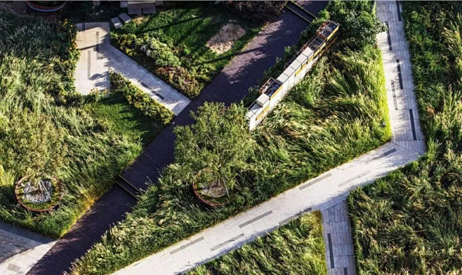 景 观 • 路 径 : 景 观 • 路 ...
