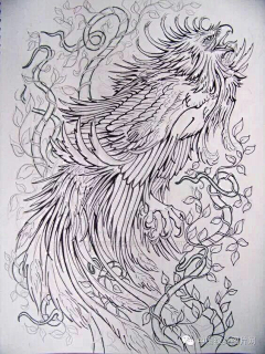 欣姐啊啊啊采集到插画