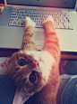 "What's your password again?"有重复提示下！~\(≧▽≦)/~啦啦啦
葬花楼楼主◕‿◕ ：http://huaban.com/y-b-w-6-6-6-6-6-6/ 
