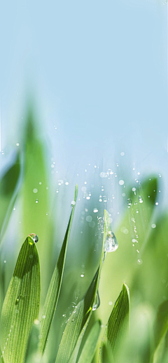 路峰JULY采集到雨水