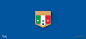 FIFA巴西世界杯扁平化盾牌徽章设计