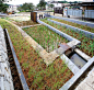 008-the Design of an Ecological Rainwater Garden in Lianma Village by Fu Yingbin