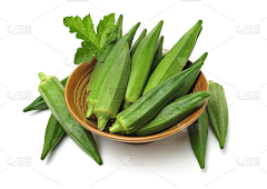 -软泥采集到蔬菜