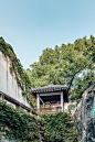 苏州古典园林，古风建筑 建筑 苏州  景观  风景  户外 	建筑 	公园 	自然 	旅游 	建筑物 	中国 	树木 	大自然 	传统 	久远 	古老 	楼阁 	美丽 	房屋 	结构 	楼宇 	闻名 	园林 	古风 	屋檐 	秀丽 	中国风 	特色 	底蕴 	宁静 	姑苏 	苏州园林 	植物 	江南 	草木 	楼 	古楼 	亭 	古代 	文化 	遗产 	珍贵 	标致 	园林设计 	庭院 	院落 	房舍
