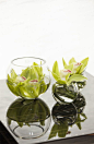 Fendi Casa Décor, simple and elegant, Luxury Living Group #glass #vases #murano #deco #decor #accessories: