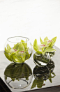 Fendi Casa Décor, simple and elegant, Luxury Living Group #glass #vases #murano #deco #decor #accessories: 