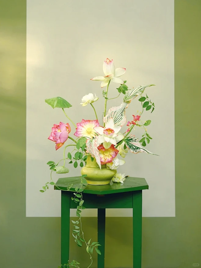 没有班味夏荷合集 - 小红书
