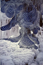 American Artist Craig Dongoski - Duration: Ice II -  Ink on Print - 18" x 22" (2008): 