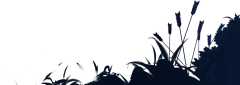 一小碗肉采集到SLG类游戏素材-类三国