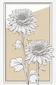 简单清晰的菊花线描作品