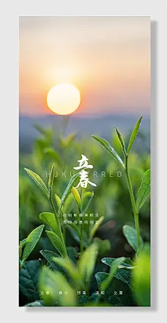 立春二十四节气