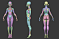 Stylized Female Anatomy Ecorche - FlippedNormals