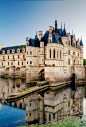 Château de Chenonceau, Loire Valley, France   |    10 Most Beautiful Castles in Europe: 