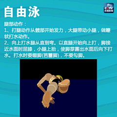 水手辛巴采集到健身