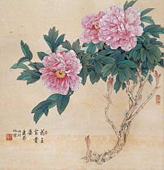 虎丘25采集到画画画