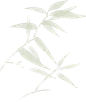 春分节气水墨插画-竹子