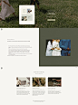 https://www.stateofsage.com/website-templates