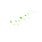 树叶