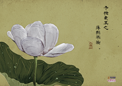 s宝宝s采集到学院奖
