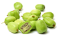 植物素材png