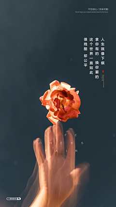 零与零之间10采集到朋友圈