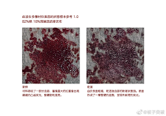 一个大草包采集到技巧