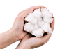 手捧棉花png (10)