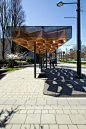 University Boulevard Transit Shelters / PUBLIC Architecture + Communication: 