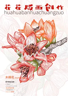 36木棉花20240529