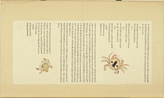 木槿花开(采集)采集到古画-动物