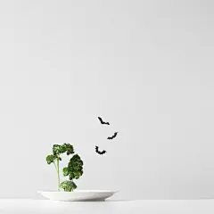 生活啟示 - 艺术摄影 - CNU视觉联盟