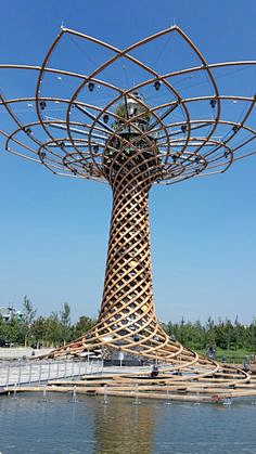 moran17采集到专项--树结构网结构Tree structure archite