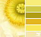 YellowGlow