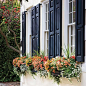 Window Box Basics | Learn how to make a Charleston-style box planter that will spruce up any window with color. | SouthernLiving.com: