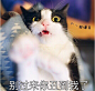 QQ截图20170417132246