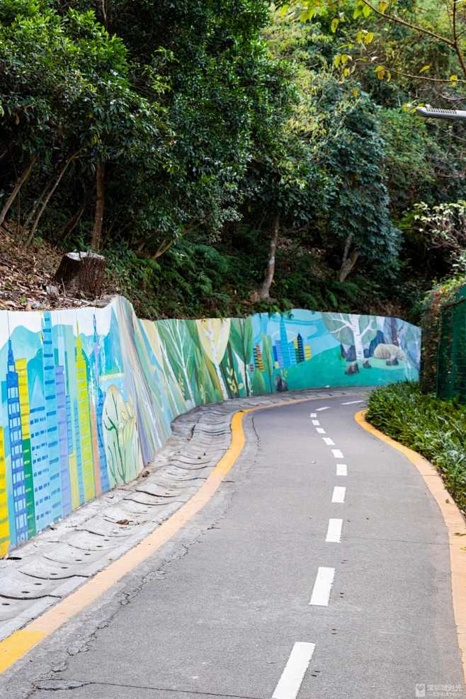 这，就是深圳最美绿道！ : 看尽深圳山水
