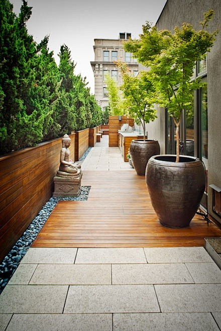 NYC rooftop garden. ...