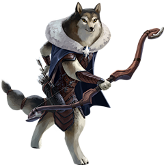 啊啦七采集到ARMELLO