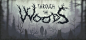 在 Steam 上购买 Through the Woods 立省 81% : Through the Woods is a third-person Norse horror adventure set in a forest on the western shores of Norway that tells the story of a mother and her missing son.