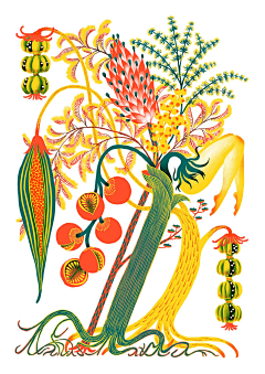 亭小孟MT采集到平面装饰性插画