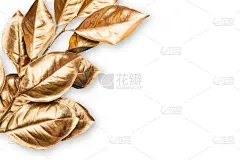 黄金,叶子,复叶,贺卡,周年纪念卡,彩色背景,情人节卡,棕榈叶,背景,生日卡